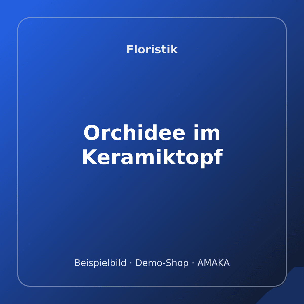 Orchidee im Keramiktopf – Bild 1